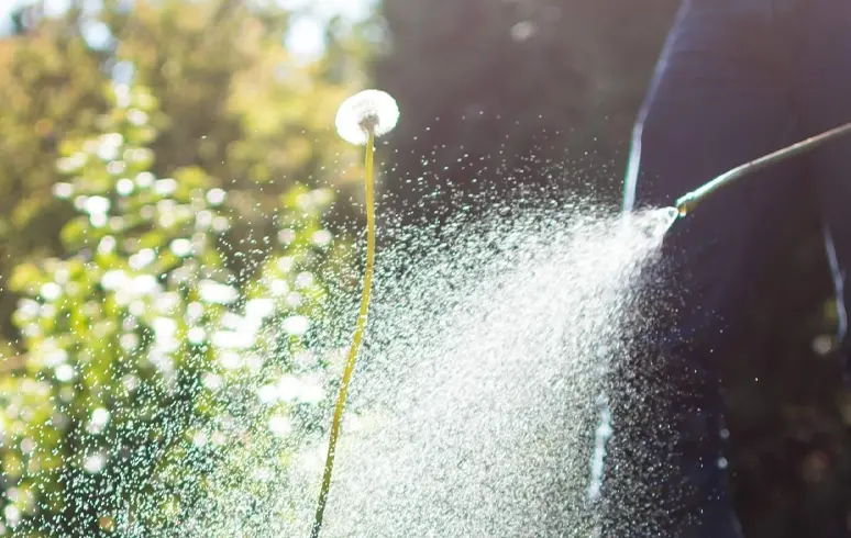 A chemical sprayer spraying a long weed in the grass.