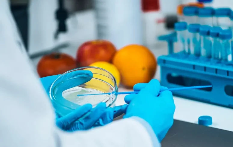 scientist testing for food poisoning