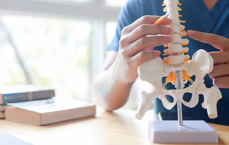 Spine & Spinal Cord Injuries